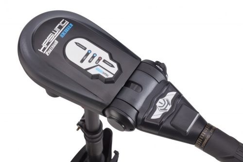 Haswing Protruar 1.0 65LB 12V