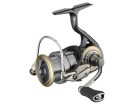 DAIWA LUVIAS AIRITY LT 4000-C 21