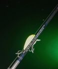 RBM ULTRASENZITÍV CATFISH  XH 198-206cm 10-40g