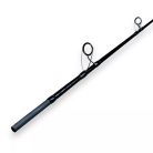 RBM Ripper Rod 100-600g Extra Fast határtalan erő harcsa horgászbot