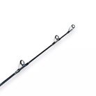 RBM Ripper Rod 100-600g Extra Fast határtalan erő harcsa horgászbot